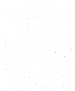 Travelers choise