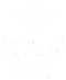 Travelers choise