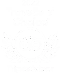 Travelers choise