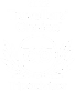 Travelers choise